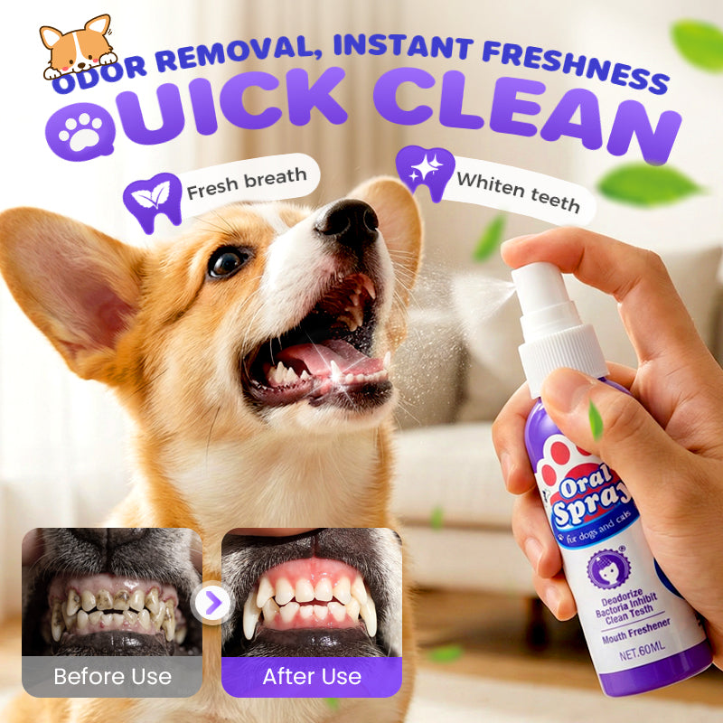 🔥2026 New Arrivals: 49% Off for a Limited Time!🔥DentaClean Teeth Cleaning Spray for Pets