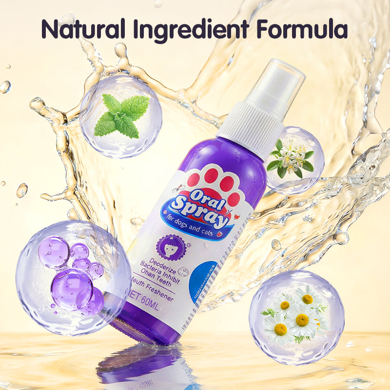 🔥2026 New Arrivals: 49% Off for a Limited Time!🔥DentaClean Teeth Cleaning Spray for Pets