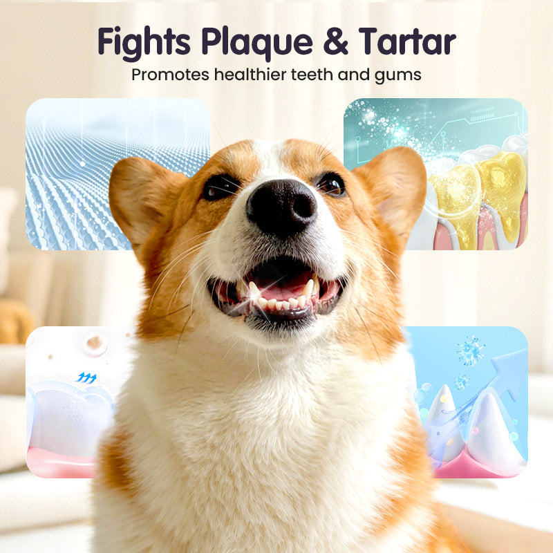 🔥2026 New Arrivals: 49% Off for a Limited Time!🔥DentaClean Teeth Cleaning Spray for Pets